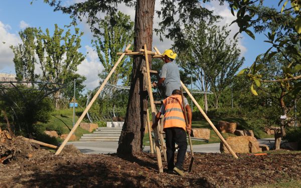 8C9A0157.jpg 8C9A0157.jpg