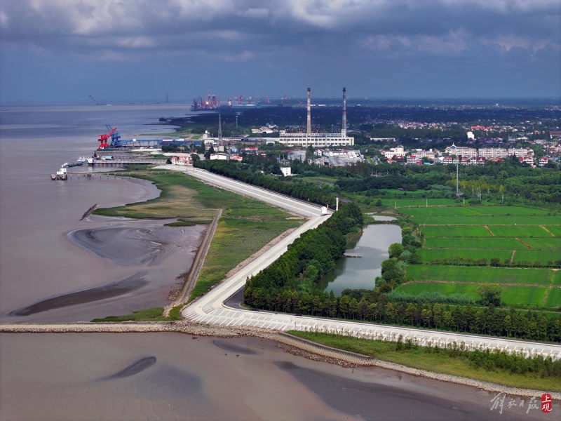 上海崇明生态岛环岛防汛提标二期工程主体完成.jpeg
