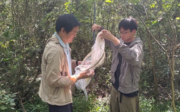 市林业总站启动上海城市森林抚育成效及松江大样地调查2.jpg
