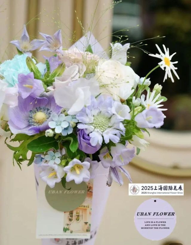 0427_124643_626.jpg 微信图片_2025-04-27_124654_985.jpg