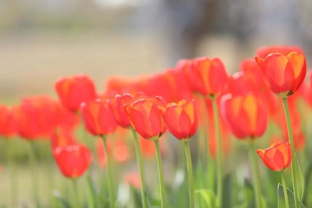 0324_130004_131.jpg 微信图片_2025-03-24_130029_485.jpg