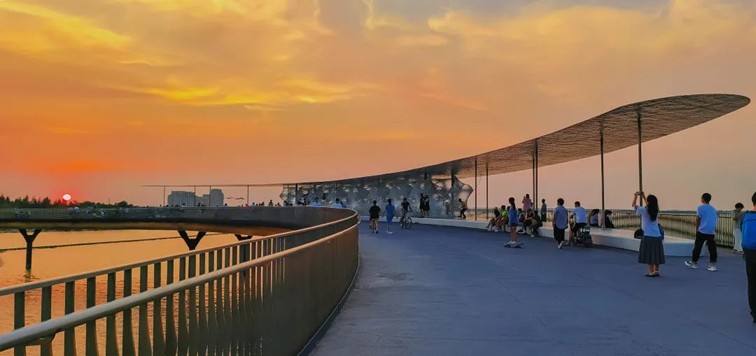 青浦体育：2025年长三角国际铁人三项赛倒计时