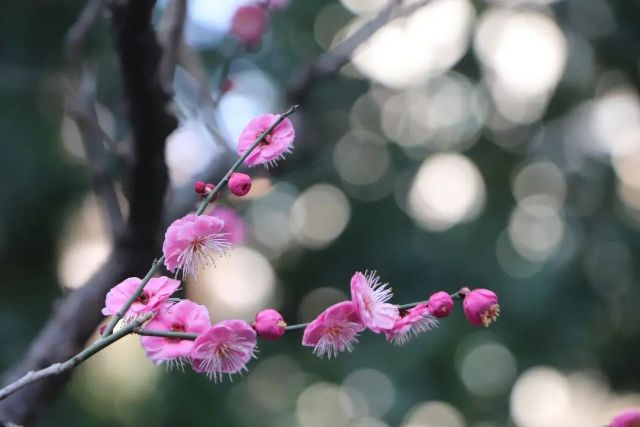 0307_144537_759.jpg 微信图片_2025-03-07_103641_009.jpg