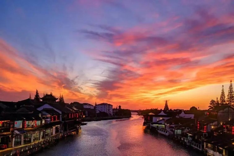 几度秋意,一眼江南,青浦这条水乡线路好有韵味! 几度秋意,一眼江南,青浦这条水乡线路好有韵味!