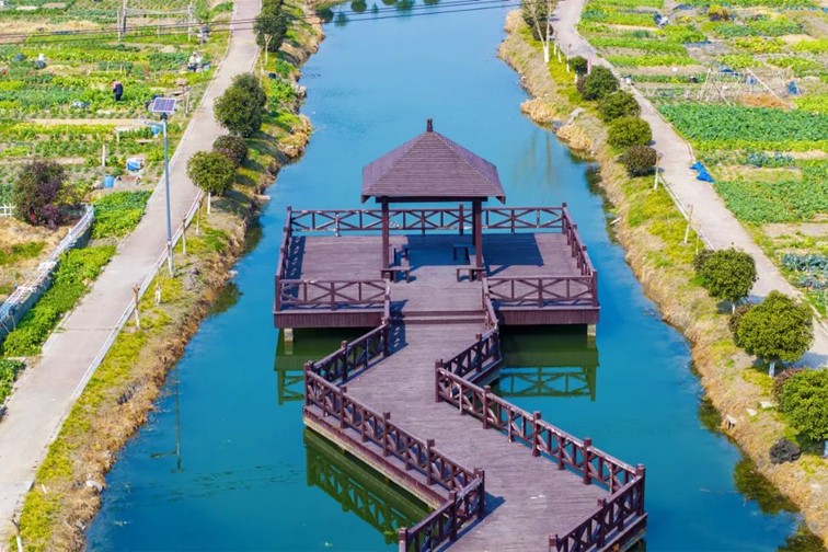 江南春景水一半，12处小流域绘青浦生态美域