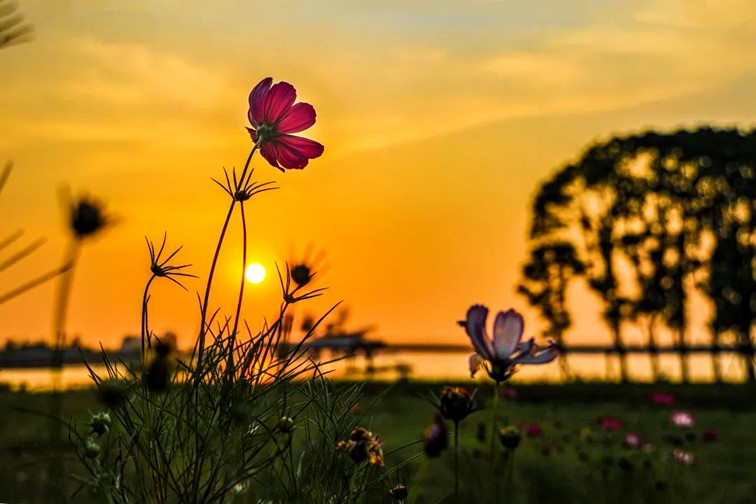 会·聚青浦|这条既City又Country的旅“行”,才是当代人的最爱! 会·聚青浦|这条既City又Country的旅“行”,才是当代人的最爱!