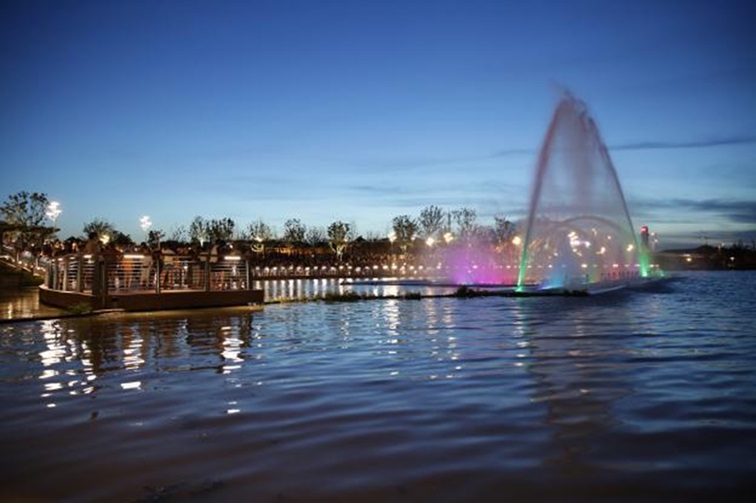 冬日“沪”水游，青浦新城：冬境绮梦，水韵流长