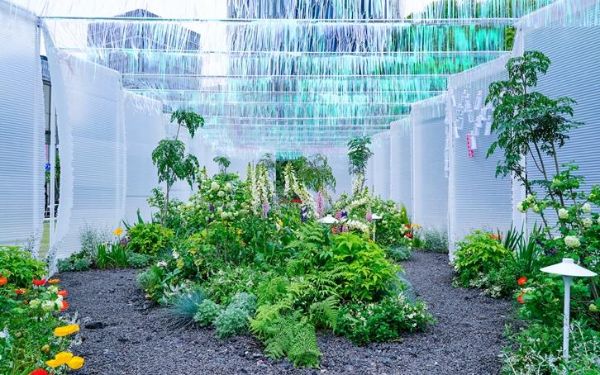 DSC04845.jpg DSC04845.jpg