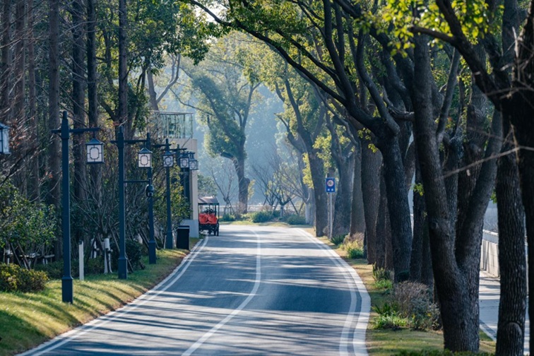 来青浦,骑行在青西“大河大湖”,太酷了! 来青浦,骑行在青西“大河大湖”,太酷了!