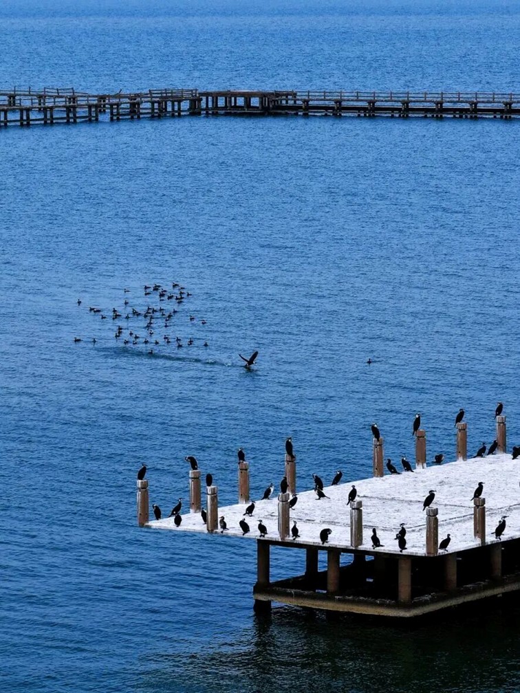 2026年春季来青浦泛艇+骑行，这两条路线包出片的~