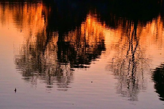 2026逛青浦环城水系公园指南