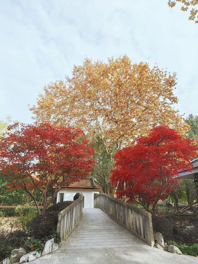 1216_150231_584.jpg 微信图片_2024-12-16_135322_146.png