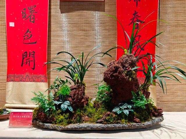 0305_100549_285.jpg 微信图片_2025-03-05_100449_888.jpg