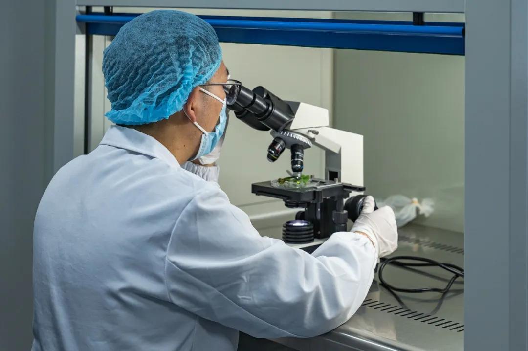 20241008152436023248.jpg 20241008152436023248.jpg