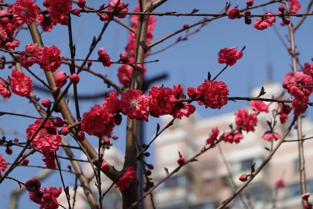 0307_144702_357.jpg 微信图片_2025-03-07_103655_146.jpg