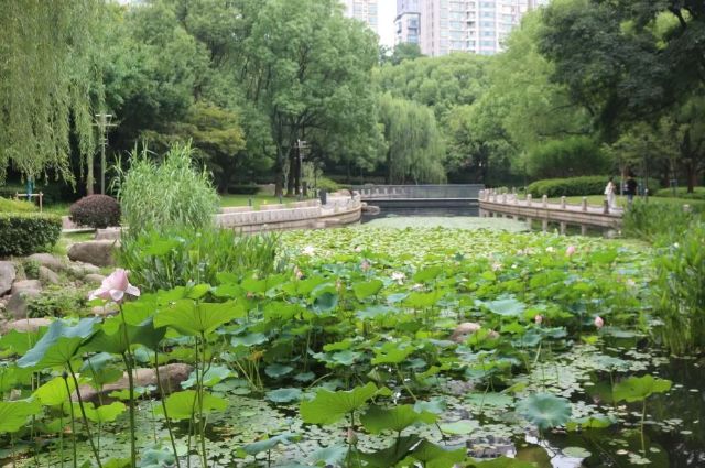 0722_121309_824.jpg 640.jpg