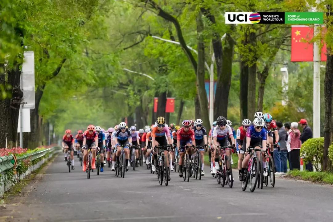 图片22.jpg 图片22.jpg