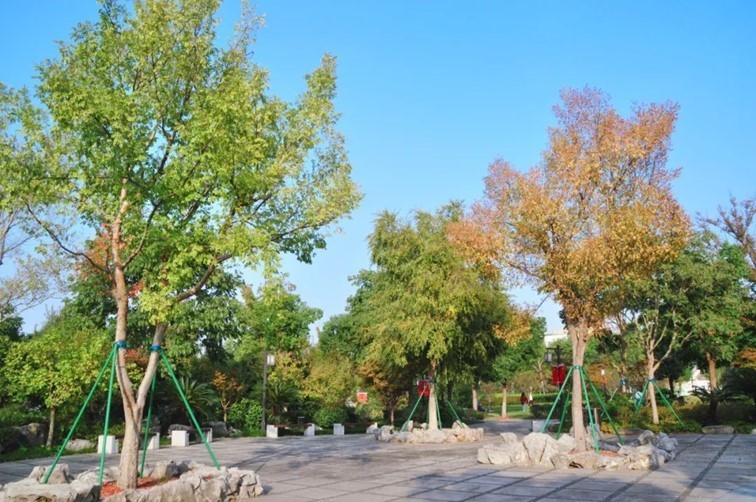 寒风乍起，秋意正浓，你想要的绝色秋光就藏在青浦！