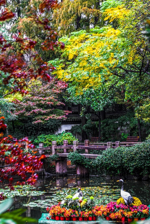 “宿主”您好，请领取主线任务：寻找青浦红叶地图！