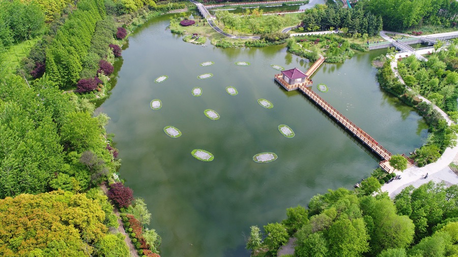 桃浦南北厅河周边的外环林带。 资料图片.jpeg 桃浦南北厅河周边的外环林带。 资料图片.jpeg