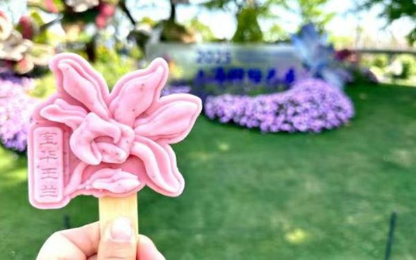 上海植物园推出花展专属“玉兰雪糕”.jpg 上海植物园推出花展专属“玉兰雪糕”.jpg