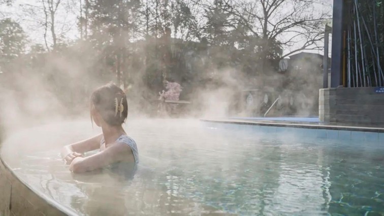 过大年·来青浦丨“蛇”我其谁~青浦近50场新春活动等你“过·来”玩！