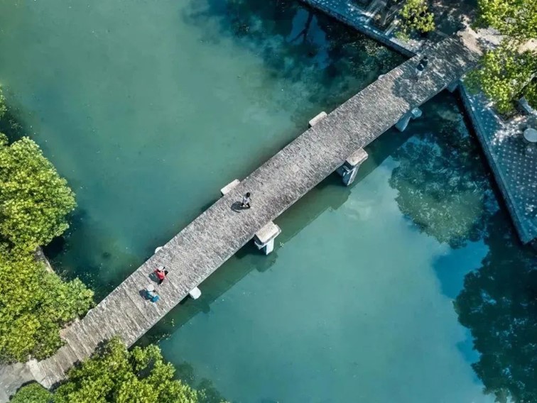 快高铁·慢生活｜开通啦！青浦上榜长三角“四季主题榜单”和十大主题线路！