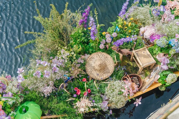上班暂停一下!快来青浦看樱花雨 上班暂停一下!快来青浦看樱花雨