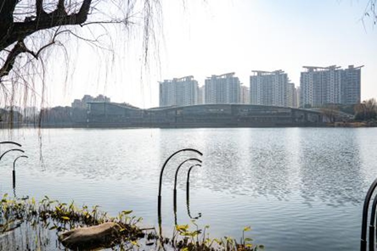 青浦河长:城中美湖,静谧安然 青浦河长:城中美湖,静谧安然