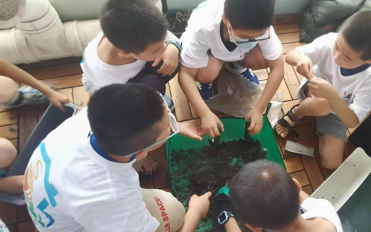 20230807090642386_D1 图片3.jpg 20230807090642386_D1 图片3.jpg