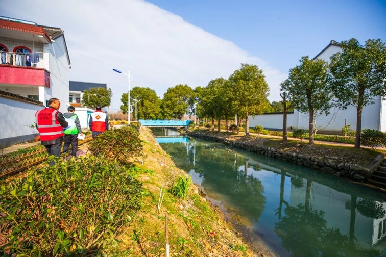 江南春景水一半，12处小流域绘青浦生态美域