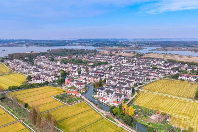 江南春景水一半，12处小流域绘青浦生态美域