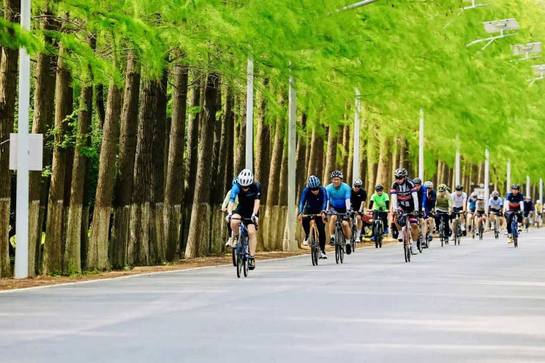 倒计时1575.png 倒计时1575.png