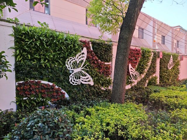 1119_122724_746.jpg 微信图片_20241119122629.jpg