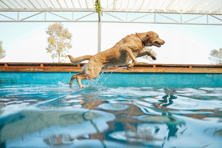 跟着半马游青浦｜收藏！带你玩转线路周边吃喝玩乐全攻略！