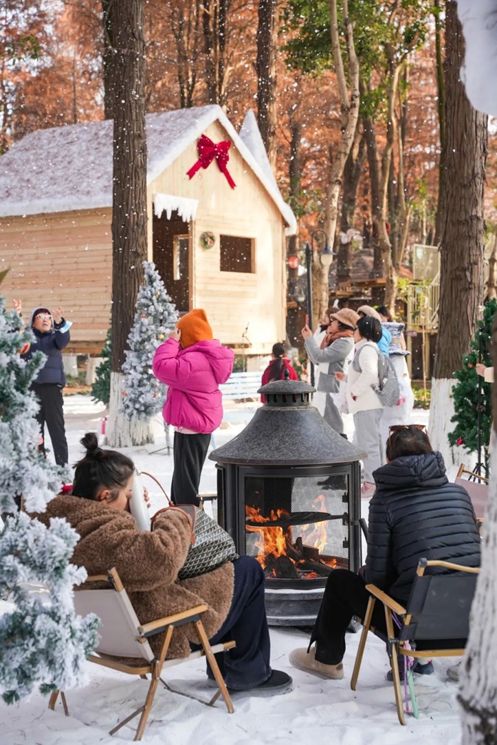 过大年·来青浦丨“蛇”我其谁~青浦近50场新春活动等你“过·来”玩！