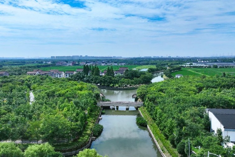 江南春景水一半，12处小流域绘青浦生态美域