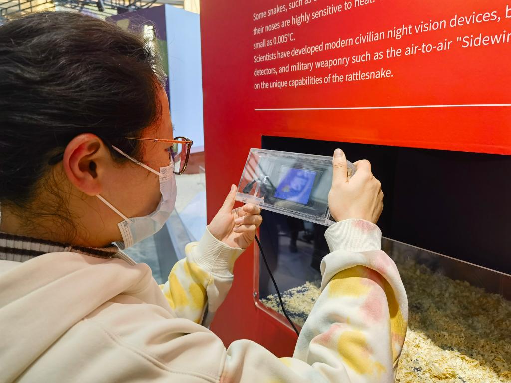 游客在上海自然博物馆里通过红外互动装置了解蛇如何“锁定”猎物。新华社记者 陈爱平 摄.jpg 游客在上海自然博物馆里通过红外互动装置了解蛇如何“锁定”猎物。新华社记者 陈爱平 摄.jpg