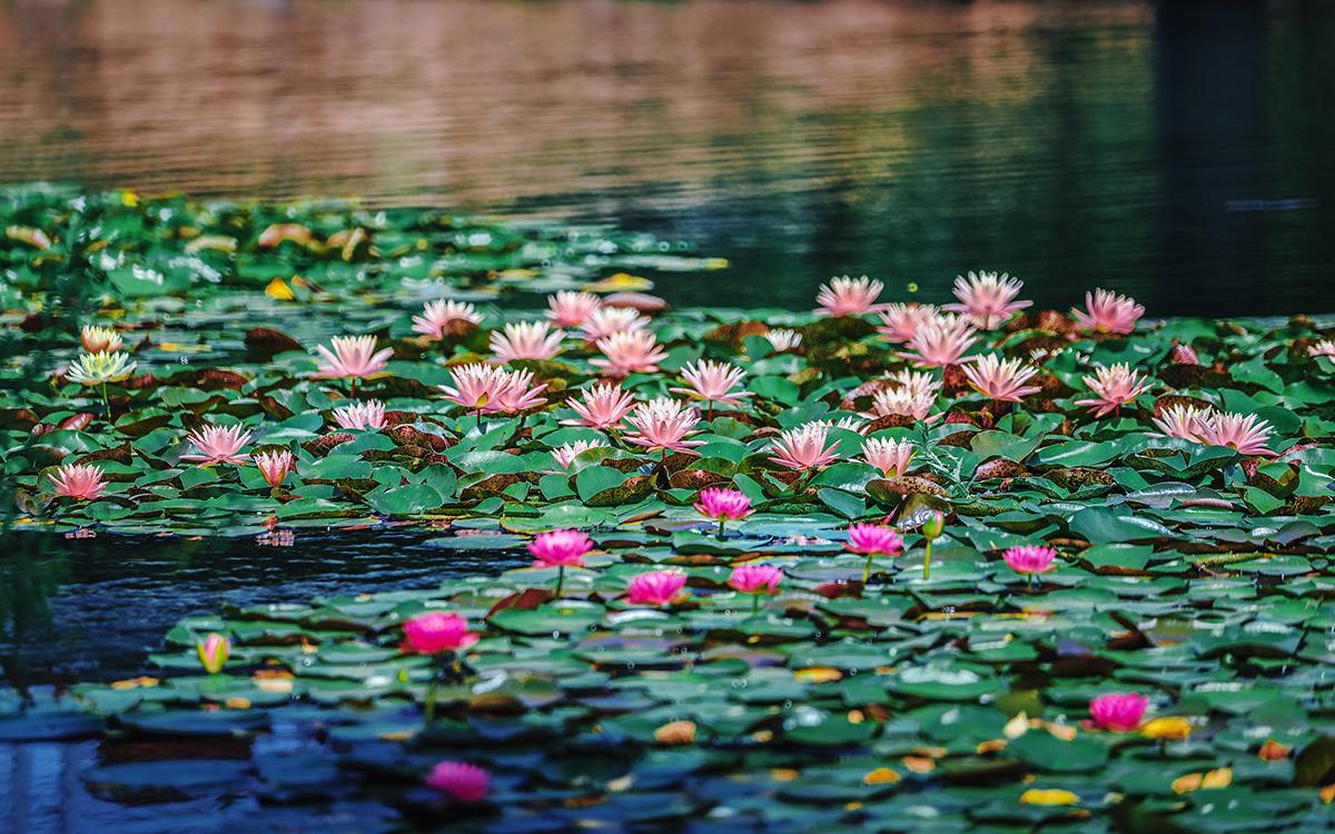 山水 (4).jpg 山水 (4).jpg