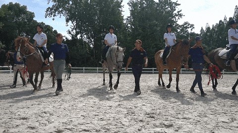 会·聚青浦|这条既City又Country的旅“行”,才是当代人的最爱! 会·聚青浦|这条既City又Country的旅“行”,才是当代人的最爱!