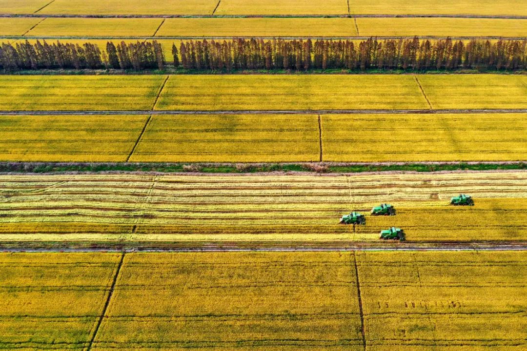 全力构建生态产业体系,聚力打造发展“亮色”.jpeg 全力构建生态产业体系,聚力打造发展“亮色”.jpeg