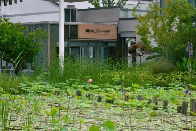 青浦体育：2025年长三角国际铁人三项赛倒计时