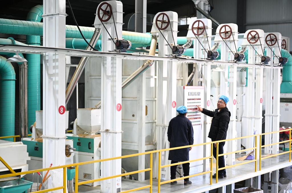 2025年1月10日，“95后”返乡创业大学生任宏宇（右）在陕西省榆林市米脂县米森农业发展有限公司的生产车间与工人交流设备运行情况。新华社记者张博文 摄.jpg