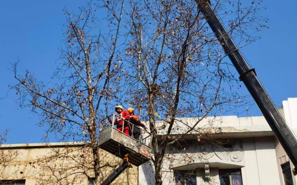 微信图片_20260311162606_448_40.jpg 微信图片_20260311162606_448_40.jpg