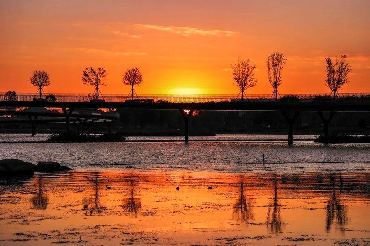 “宿主”您好，请领取主线任务：寻找青浦红叶地图！