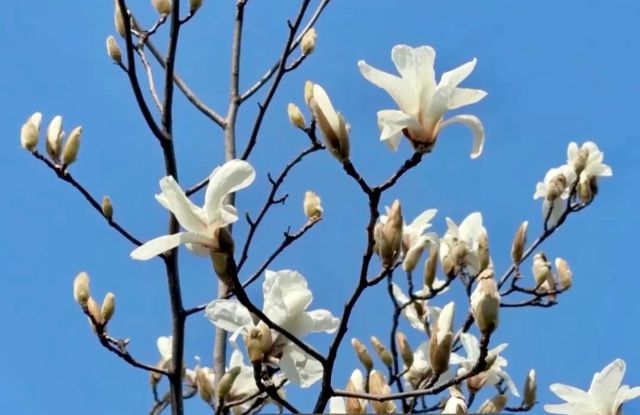 0304_101109_333.jpg 微信图片_2025-03-04_101219_884.jpg