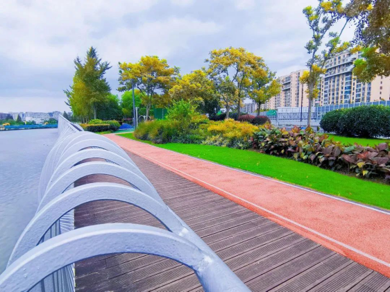 图片14.png 图片14.png