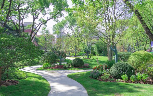 微信图片_20250701170028.jpg 微信图片_20250701170028.jpg