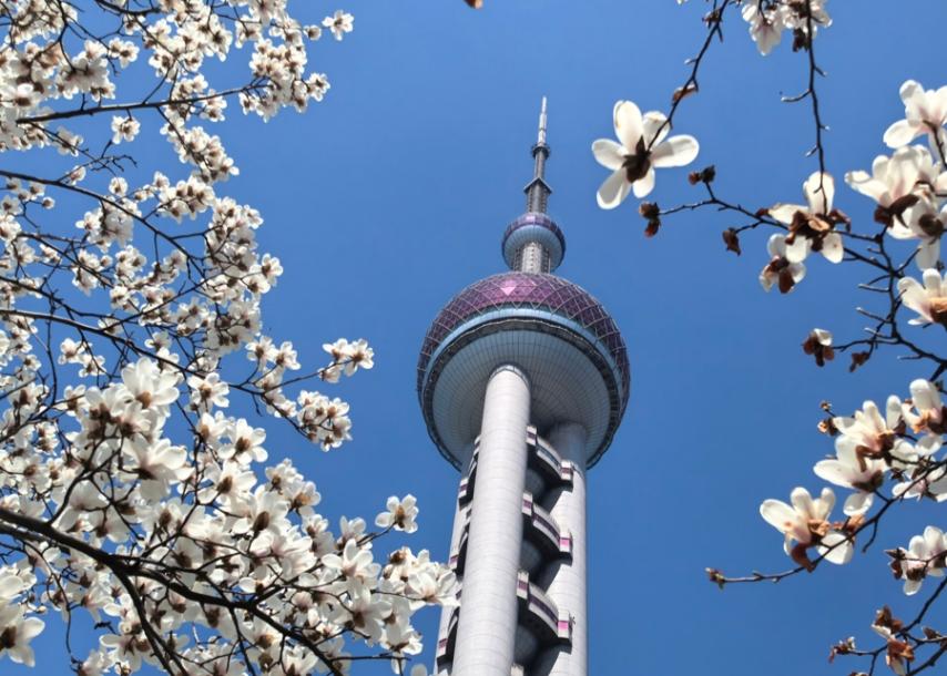文旅市场上新升级迎春假 多家景点预订数据显示 本次春假呈“短途、高频、强亲子”特征