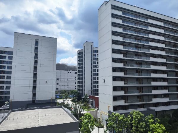 0820_093130691_789.jpg 20240820_093052_004.jpg